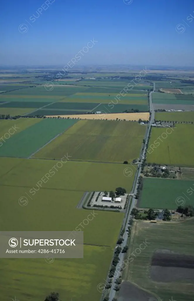 planted fields, aerial, CA