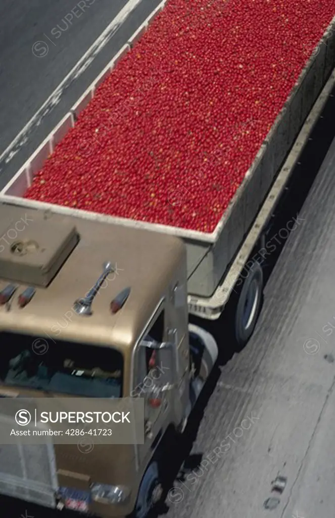 loaded tomato truck from above view
