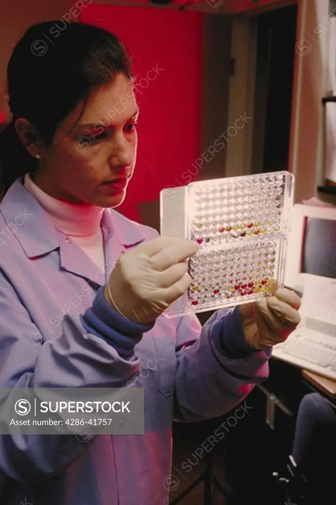 micro panel blood test, medical lab, CA