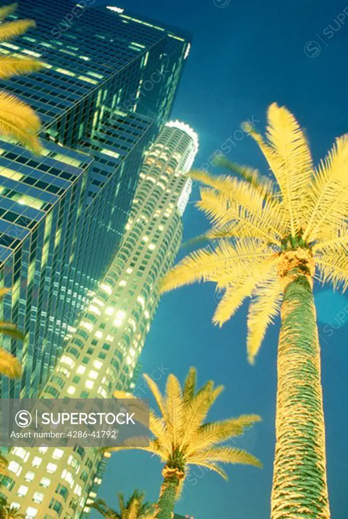 Palm trees and buildings in Los Angeles, CA