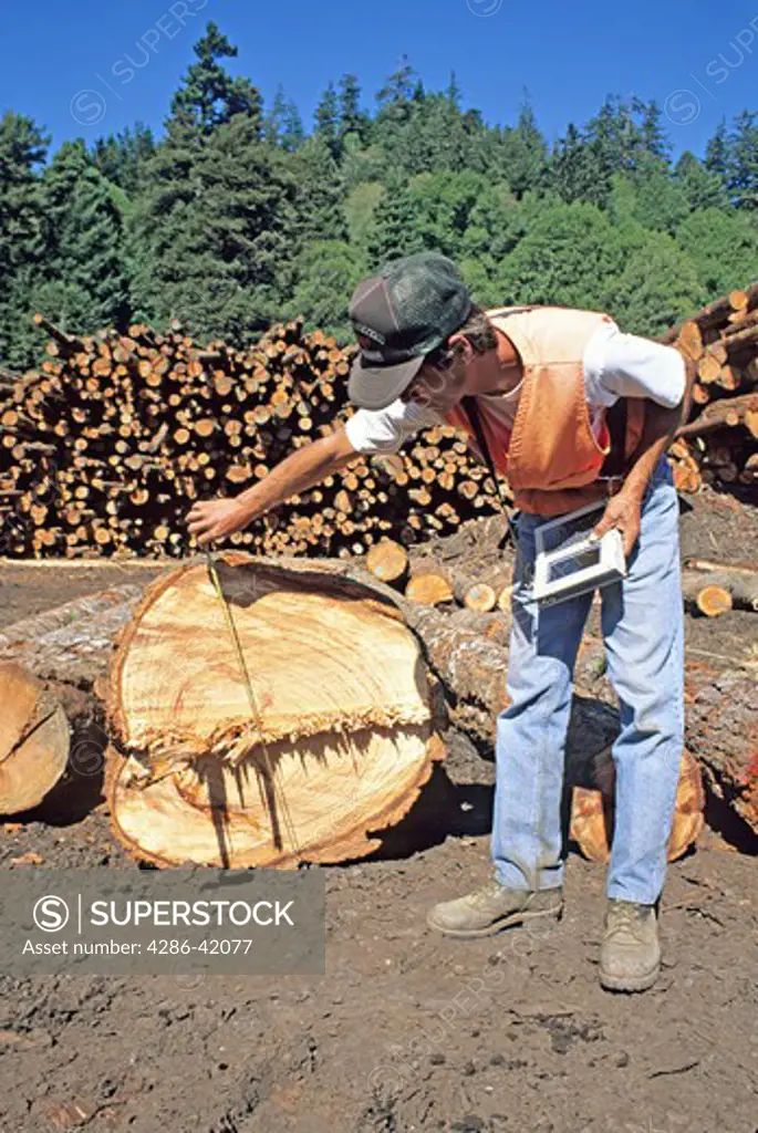 released scaler measure log lumber mill Scotia California