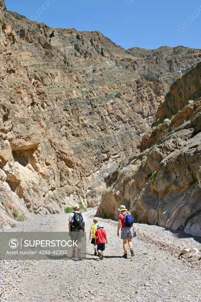 family hiking in Titus Canyon in Death Valley National Park California