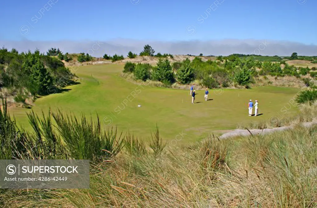 Golfers at Bandon Trails Golf Course in Bandon Dunes Golf Resort Bandon Oregon