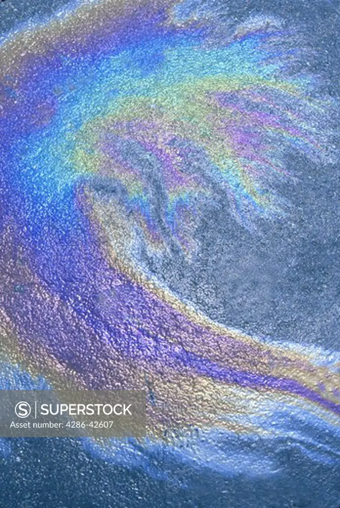 oil slick on water on pavement