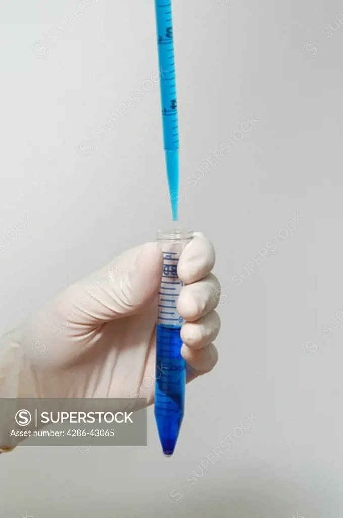 A pipette is used to pour a blue liquid into a test tube which is held in a latex gloved hand. 
