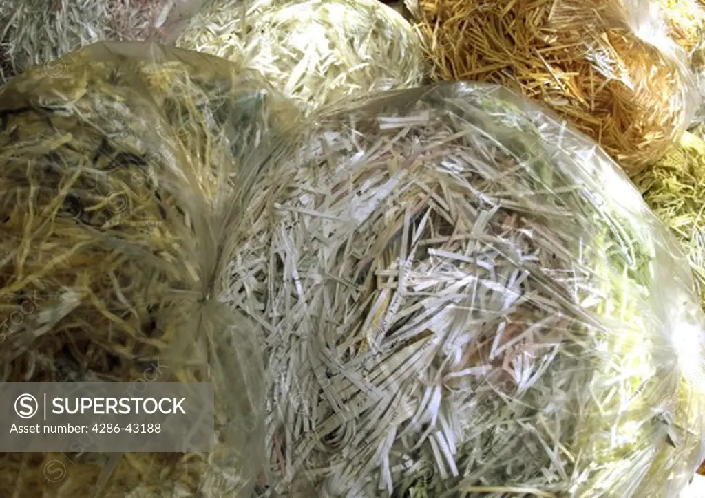 Bags of shredded paper, readied for recycling, NYC.