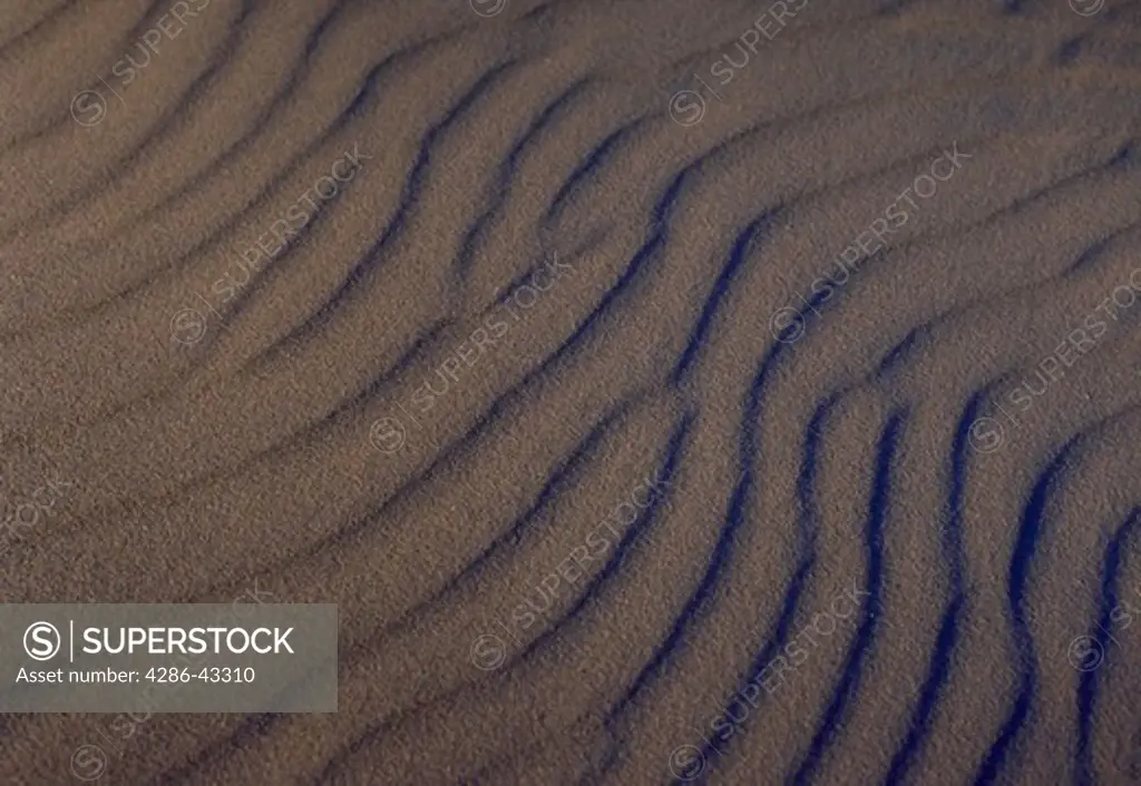 Aerial view of a wind blown patter in a sand dune.