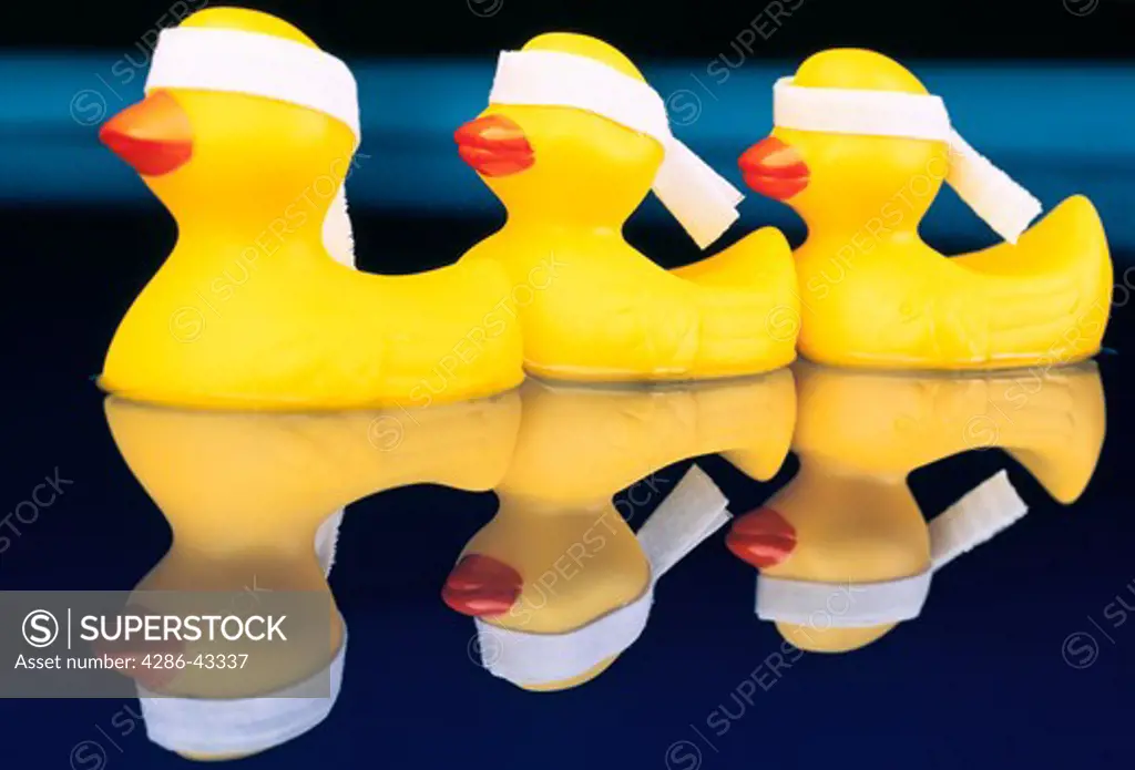 Three blindfolded yellow toy ducks in a row on a reflective surface.