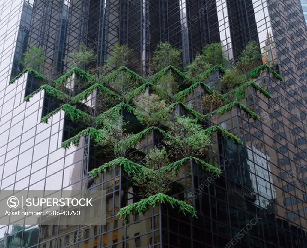 Trees and shrubbery growing in the tiered gardens that are built into the side of the Trump Tower in New York, New York.