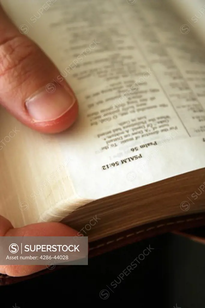 Young blond man reading the Bible 