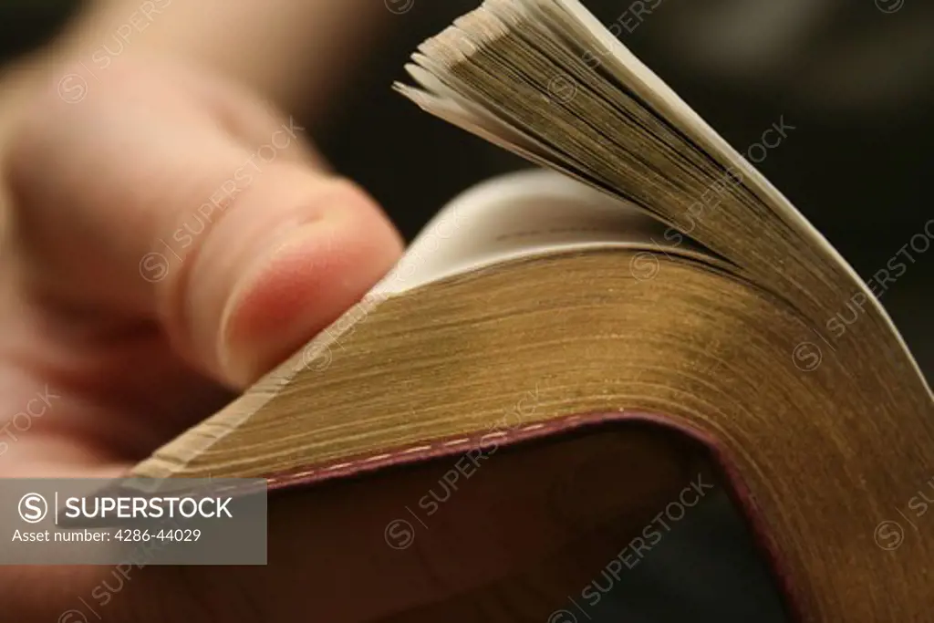 Young blond man reading the Bible - closeup on hand with gold leaf pages