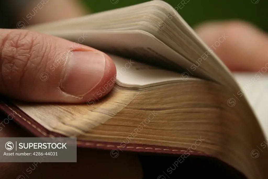 Young blond man reading the Bible