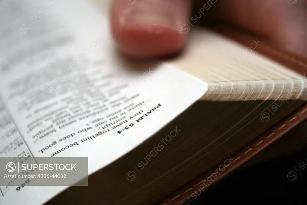 Young blond man reading the Bible closeup