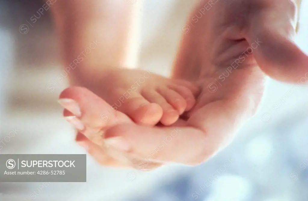 Babies foot in adults hand