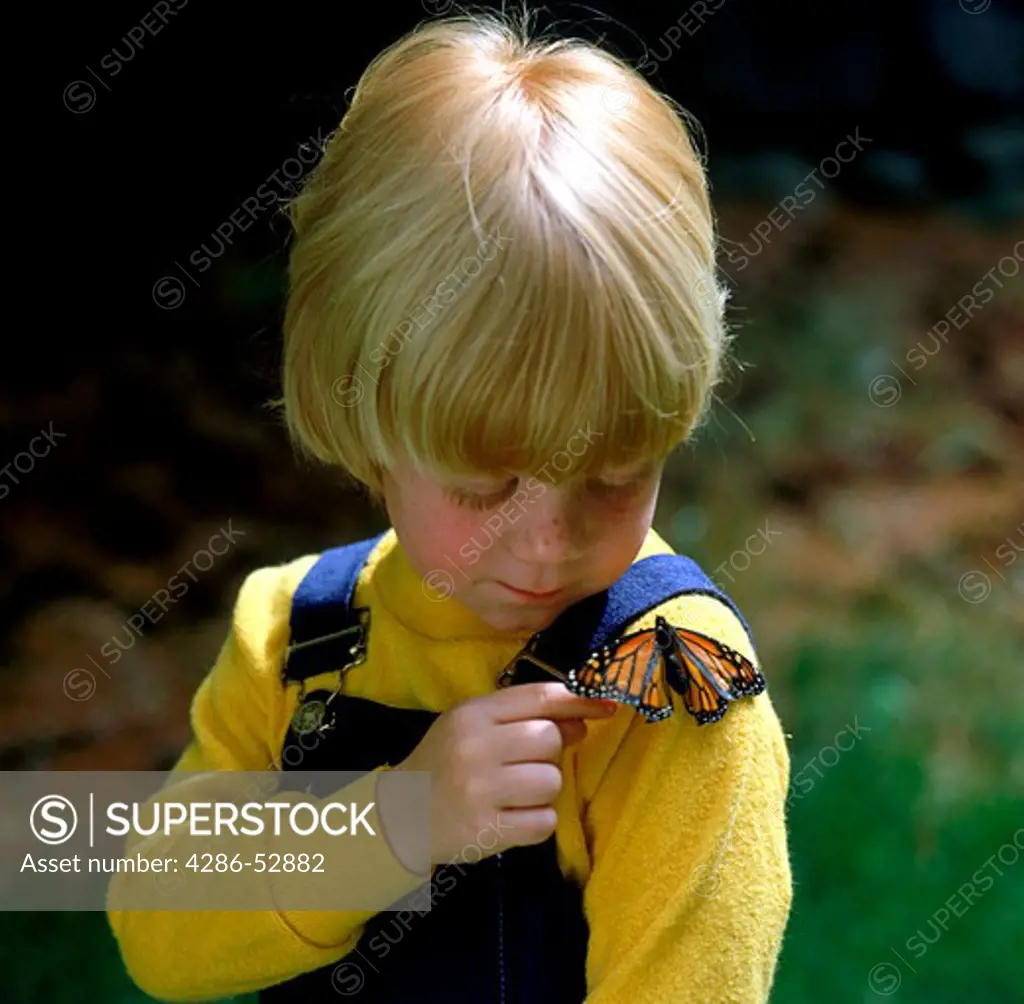 A young child touches a monarch butterfly that has landed on his shoulder.