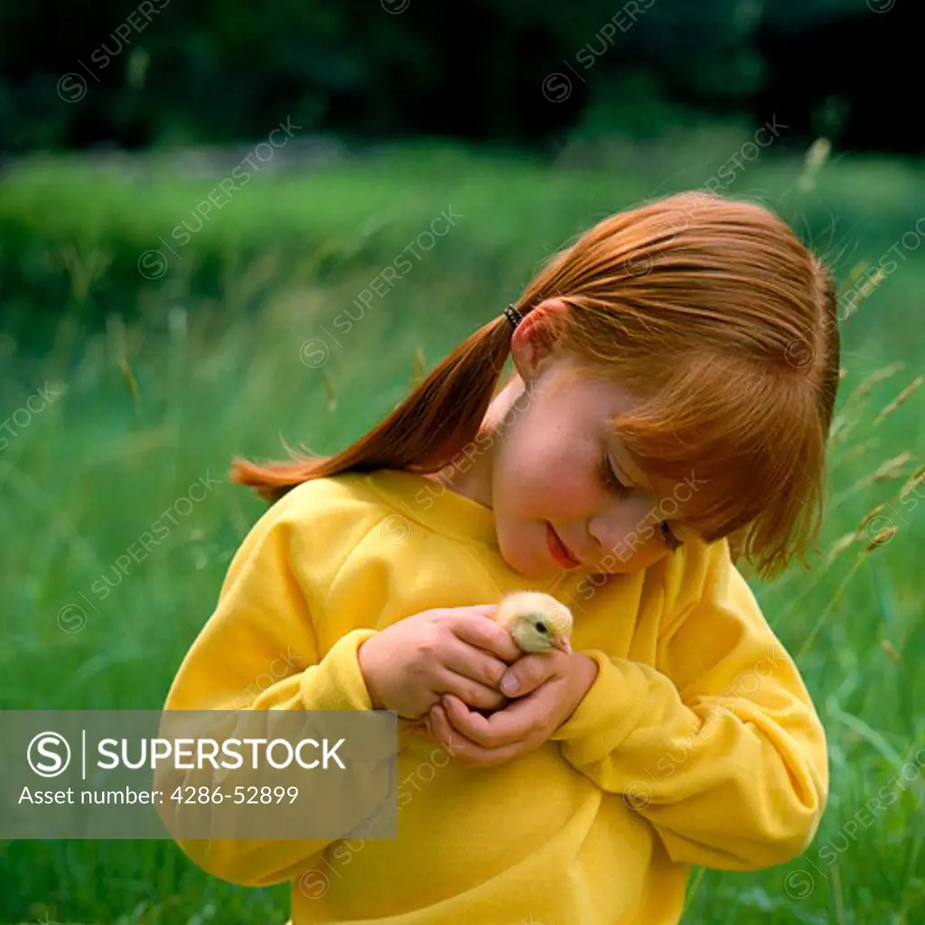 A young girl with red hair in pigtails holding a very young chick in her hands.