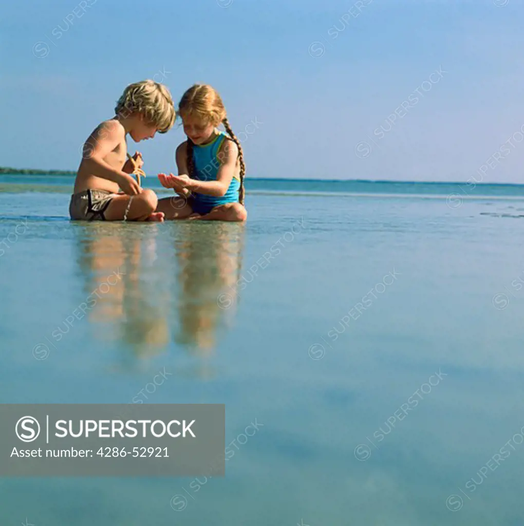 A young boy and a young girl sitting together in a tidal pool investigating a star fish and other creatures in the sand.