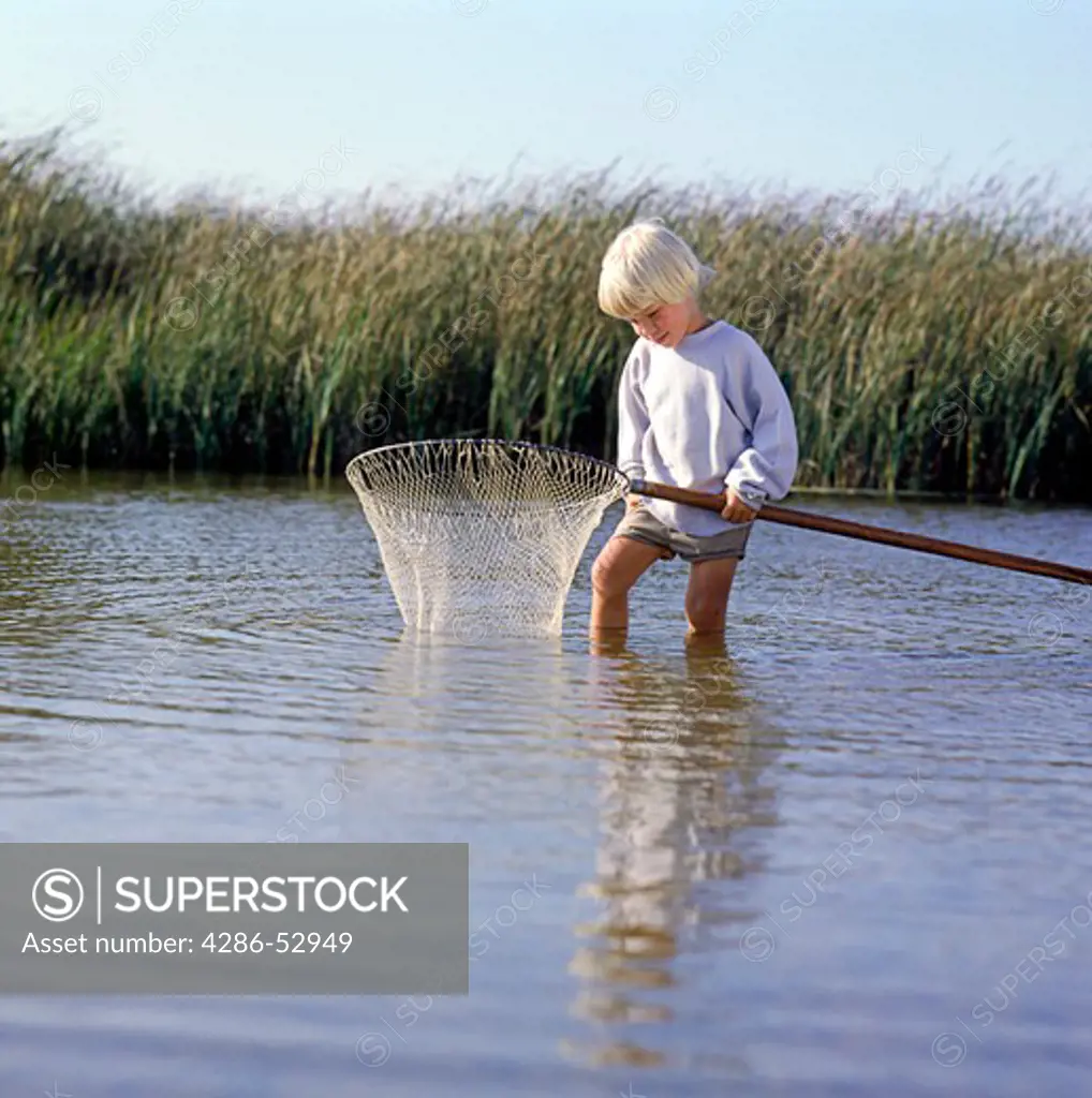 A young boy standing in the water looks in to see what he has caught in his fishing net.