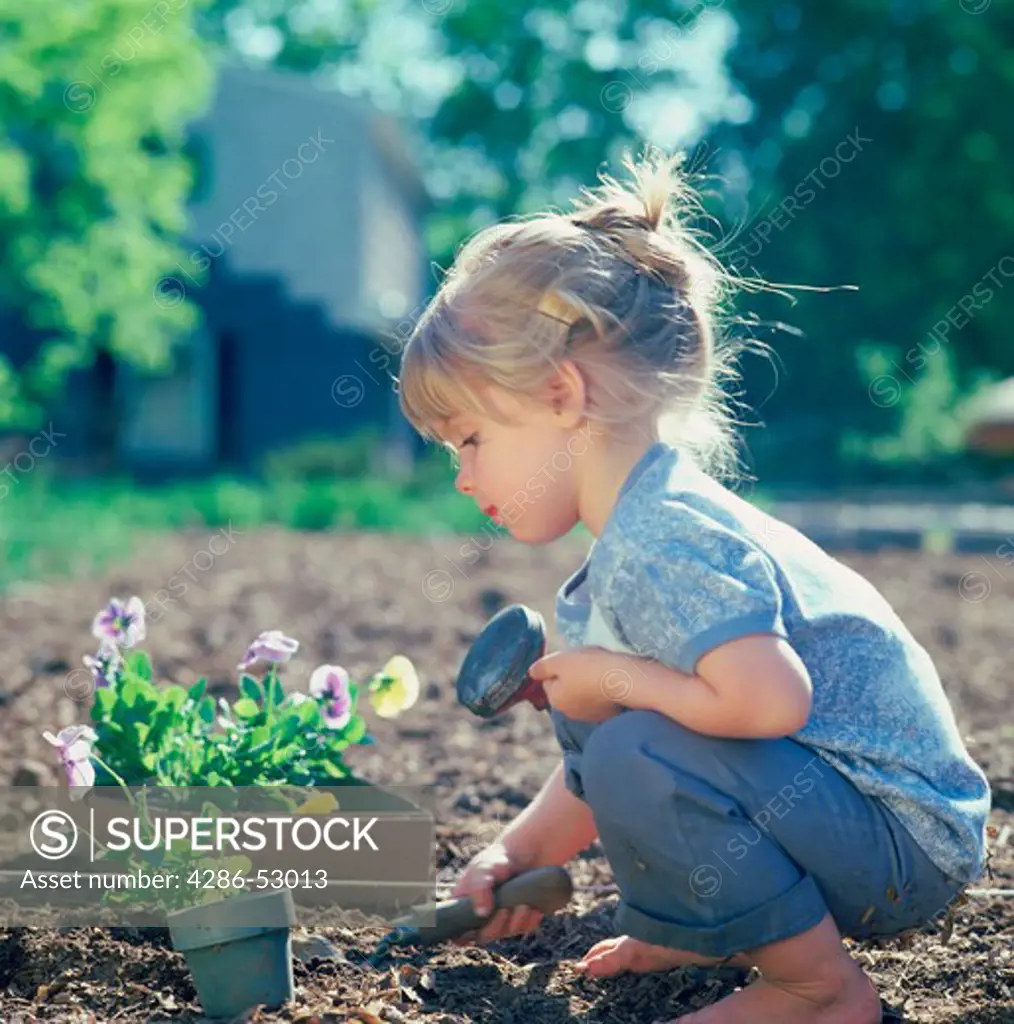 Little girl uses a trowel to dig in a garden to prepare for the planting of a box of pansies.