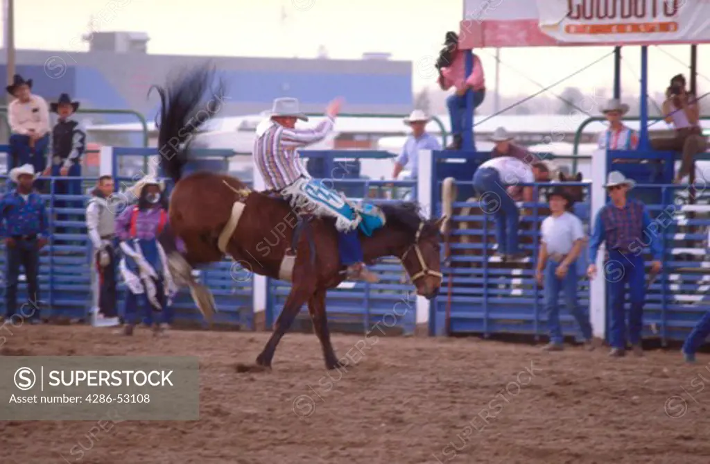 Man riding a horse during a competition at the Cowboys of Color Rodeo, Horsemans Park, Nevada.