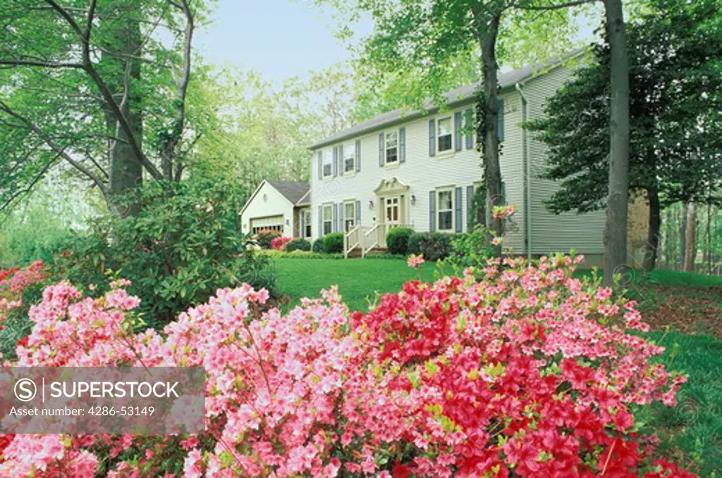 Red and pink azaleas bloom in foreground of exterior angled view of large two story frame house and attached garage.  Property released.