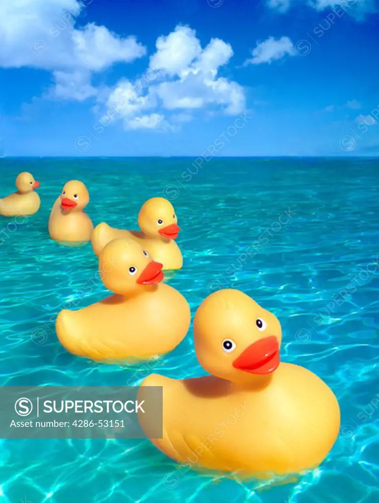 Five cheerful yellow rubber duckies floating on calm water outdoors under blue sky with clouds.