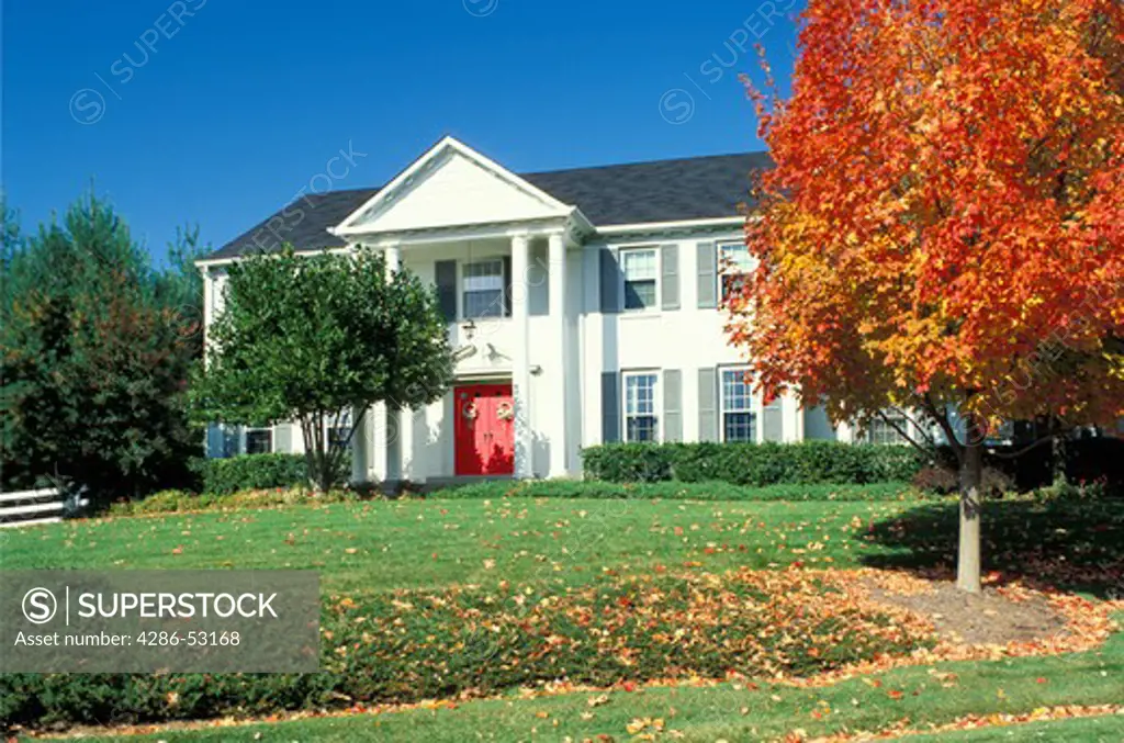 Exterior view of front of large colonaded white two-story house with tree shedding orange autumn leaves. Property released.
