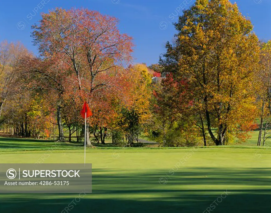 An orange flag on a white pole marks the location of the hole on a golf course green with early autumn trees in the background. Property released.