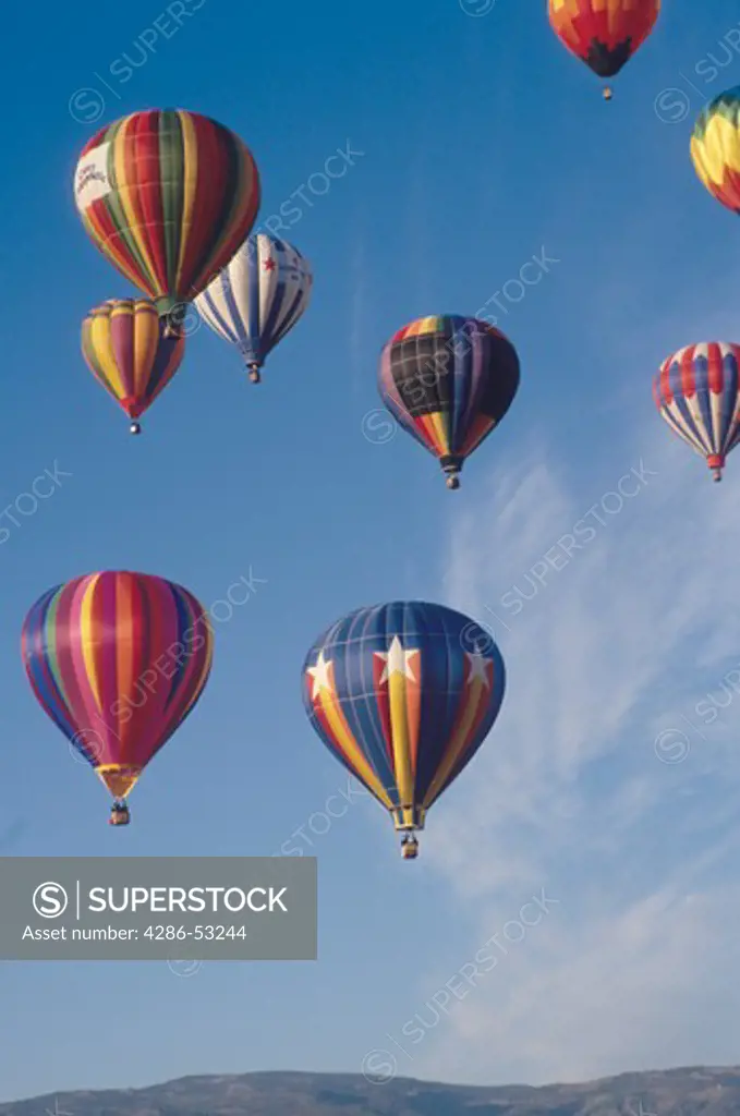 Nine colorful hot air balloons rise into the clear blue sky during the Great Reno Baloon Race, Reno, NV.