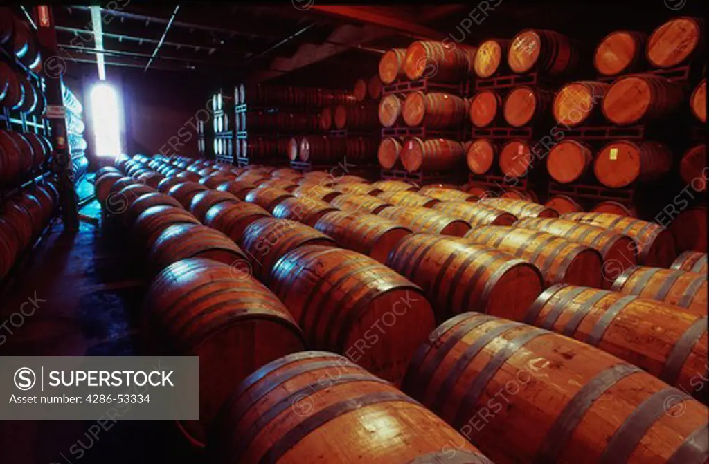 Storage warehouse full of wine barrels.