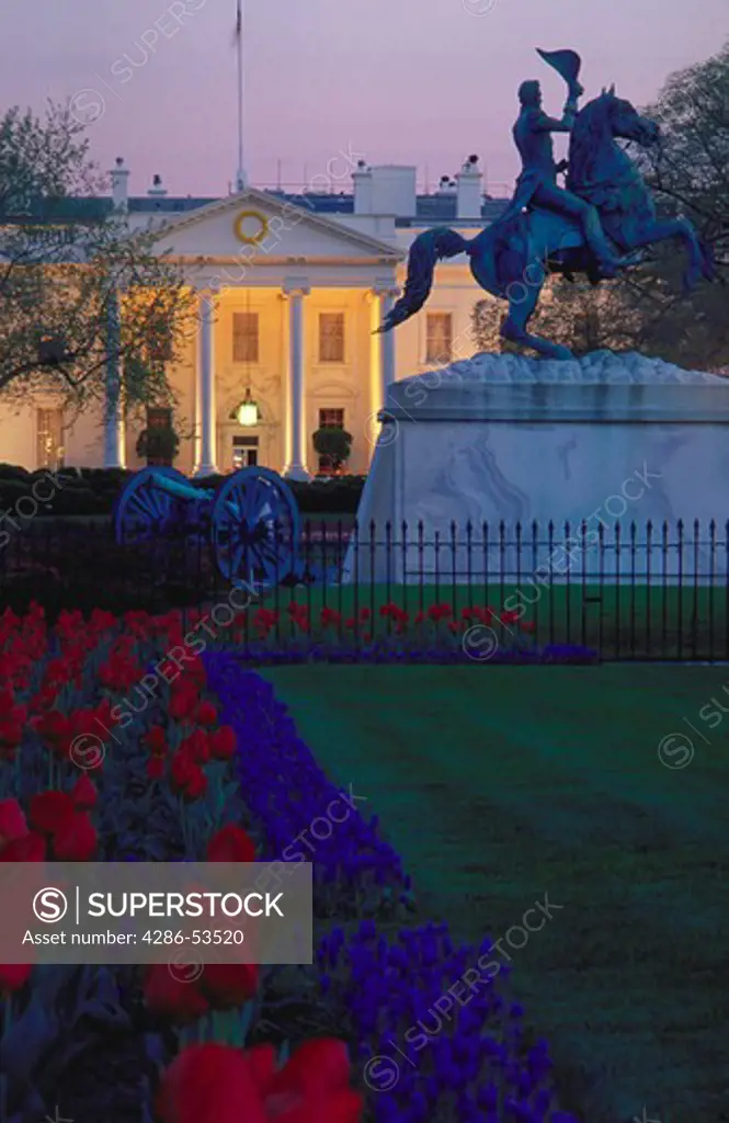 View of the North portico of the White House in spring with a statue and red tulips.