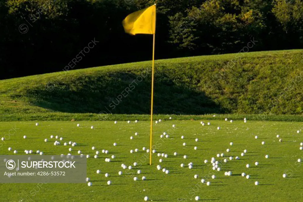 Scores of white golf balls on a golf course green. A yellow flag on a yellow pole marks the hole.