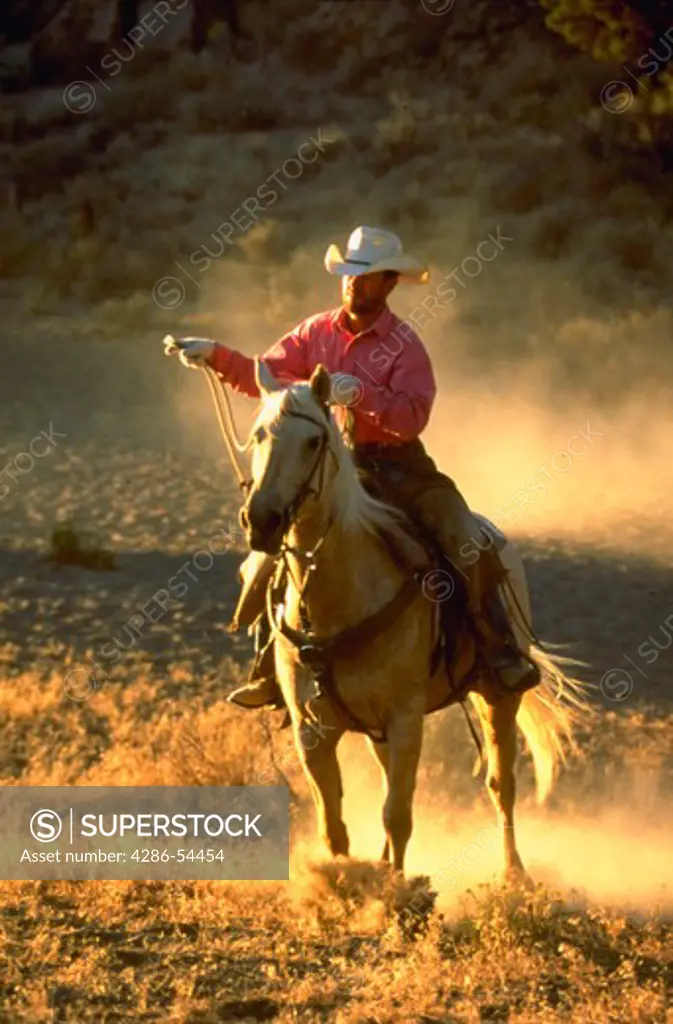 Cowboy on horseback getting ready to rope