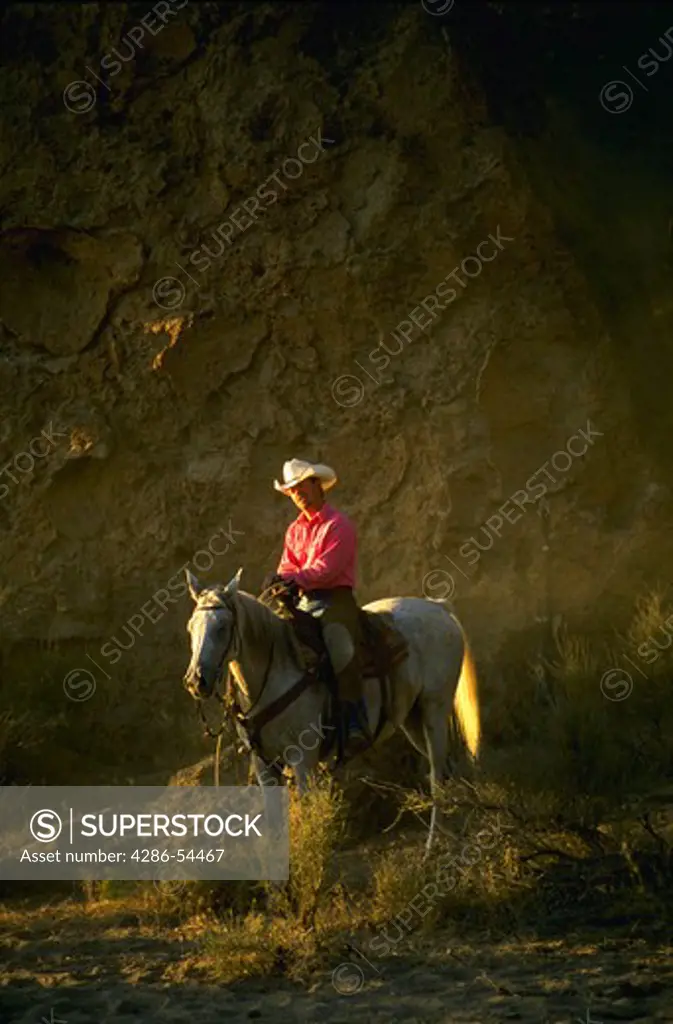 Wrangler on Horseback in back-lit scene