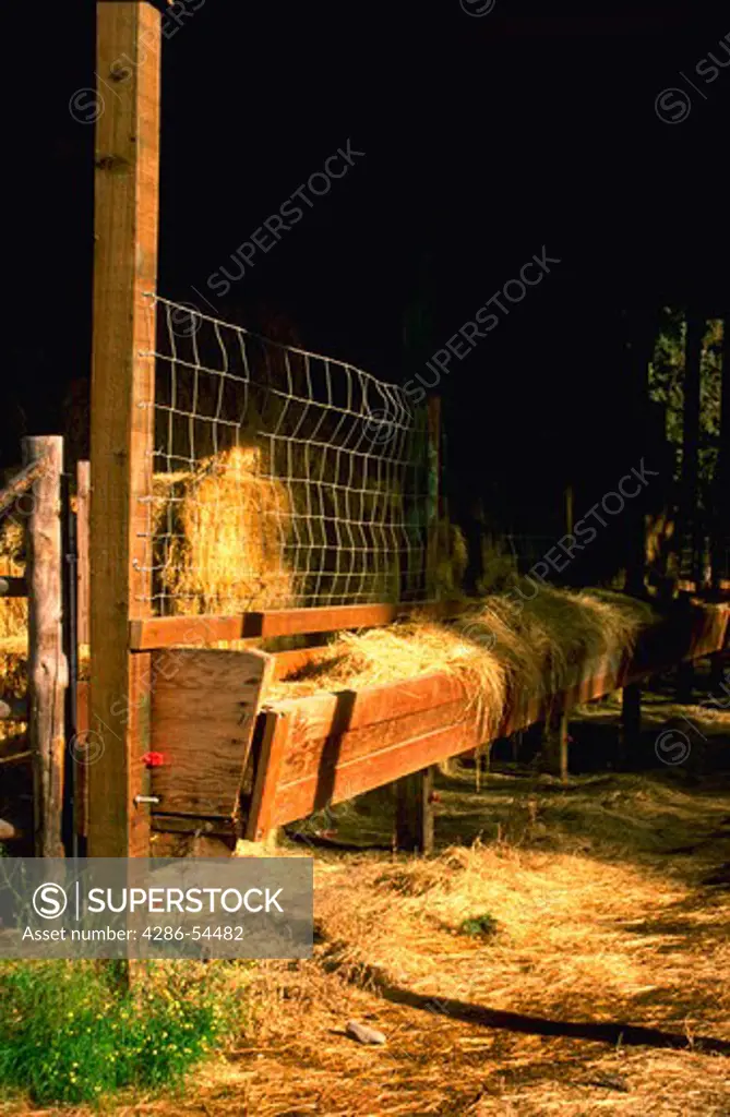 Scene of feed trough in rancher's barn