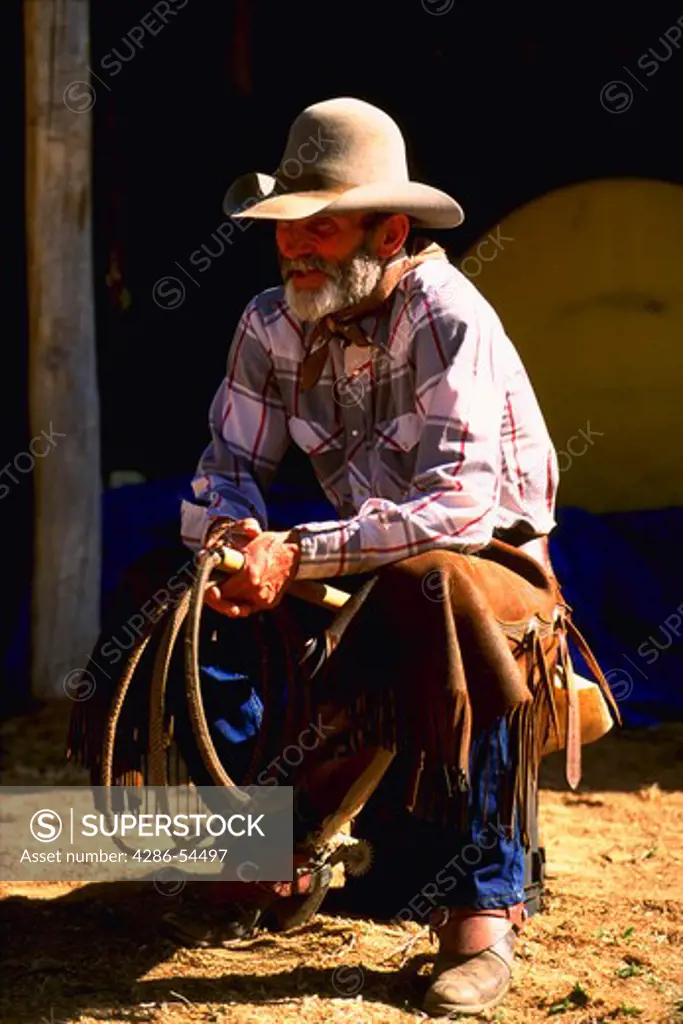 Cowboy with rope, chaps sitting on his heels