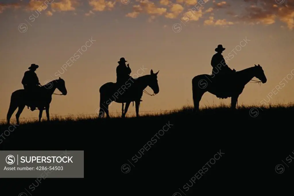 Silhouette of wranglers/cowboys on horses