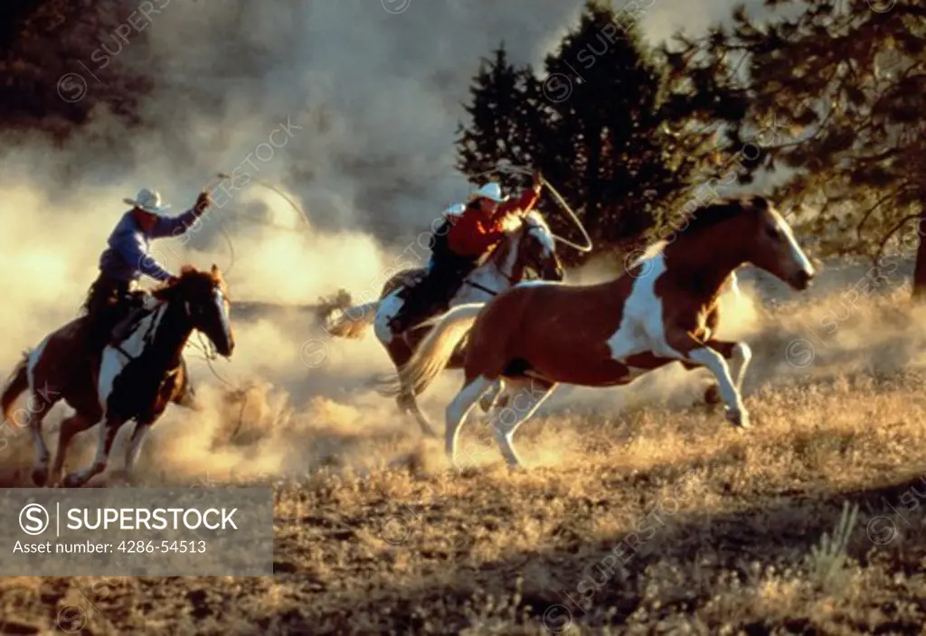Wranglers on horseback chasing horses.