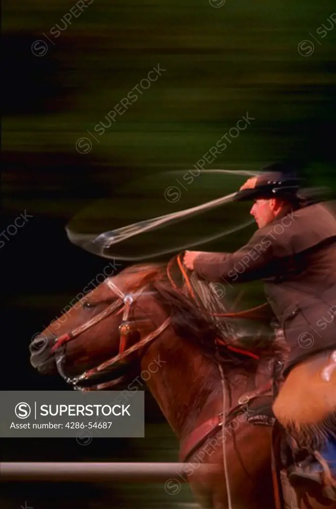 Rider with lasso, blurred