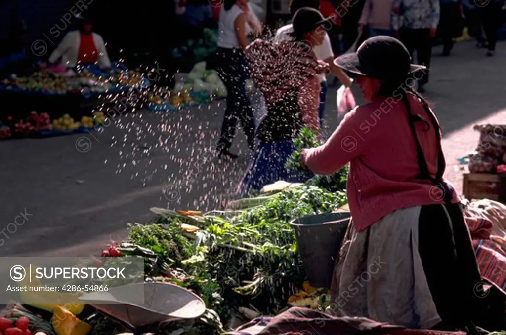 Street vendor sprays water over her vegetables to keep them fresh on Mantaro Street, Huancayo, Junin Department, Peru.