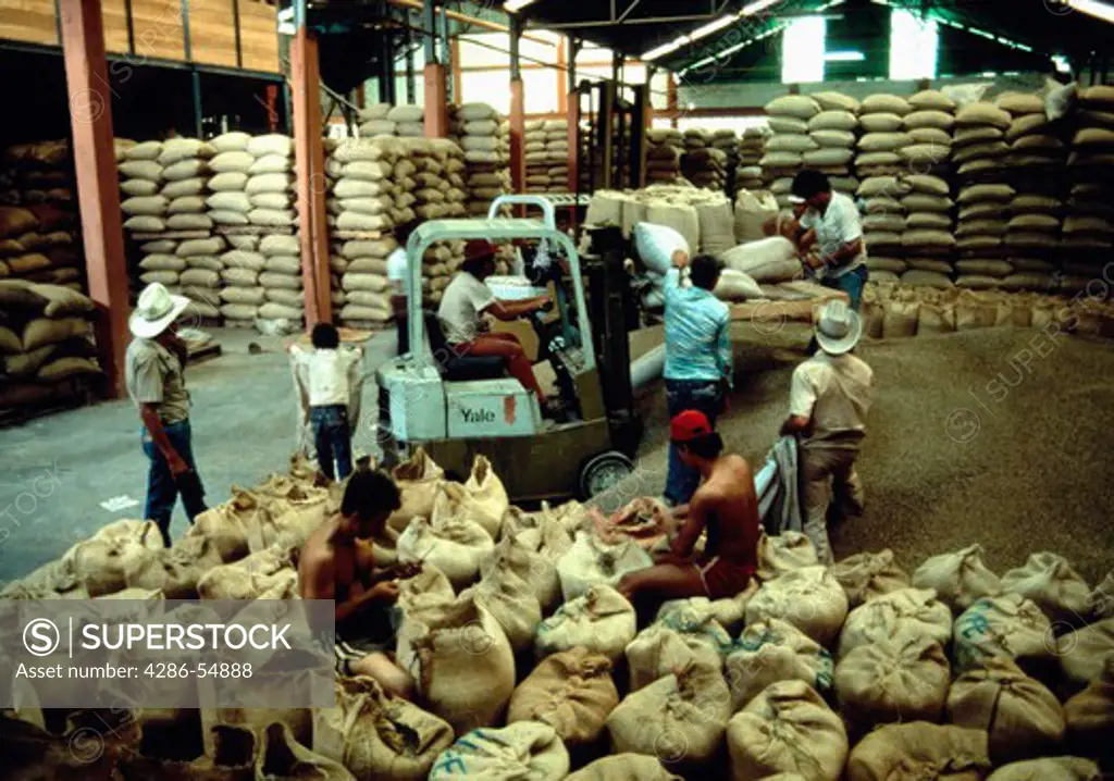 Workers load coffee beans into burlap sacks in a Foncafe coffee cooperative warehouse in Lara State, Venezuela.