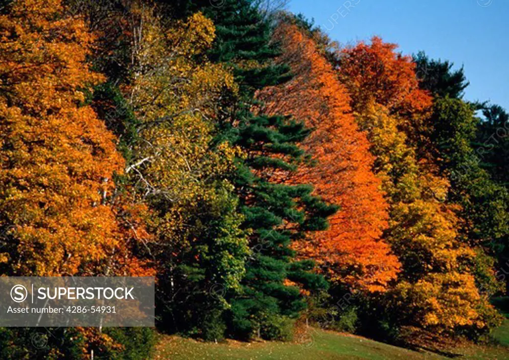 Colorful autumn foliage in Lakeville, Connecticut.