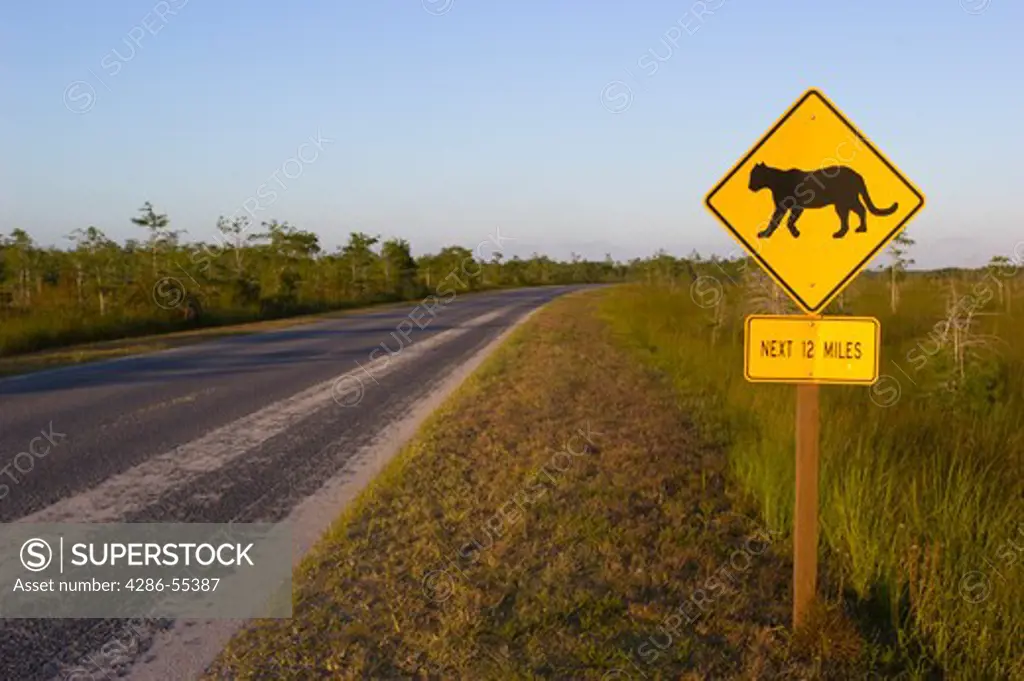 EVERGLADES NATIONAL PARK, FLORIDA, USA - - Wildlife warning road