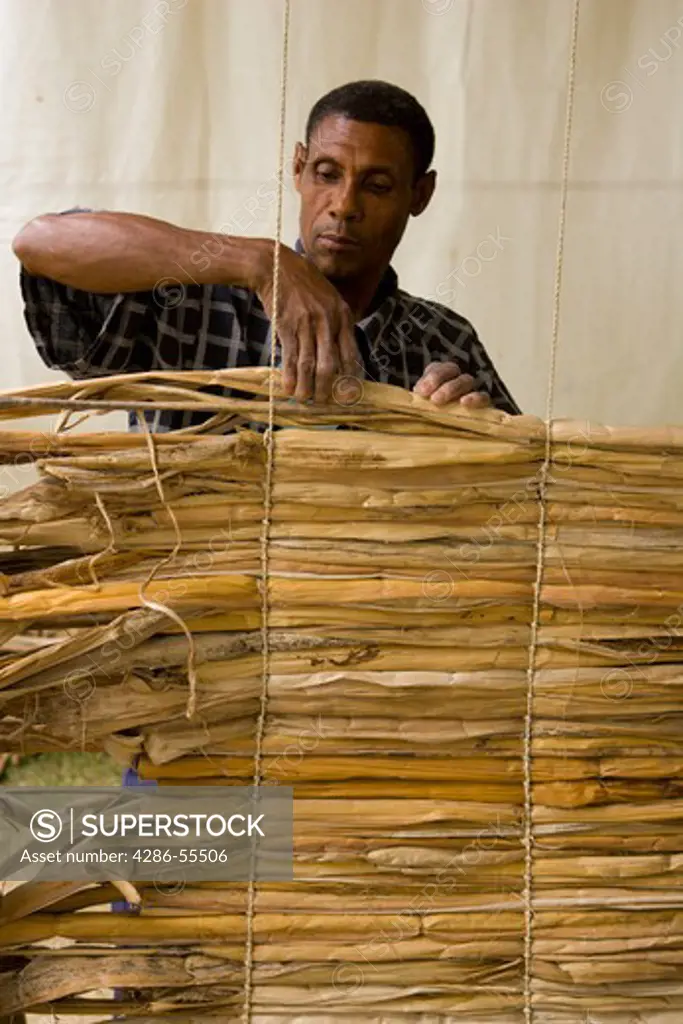 WASHINGTON, DC, USA - Joseph Sraphin Emile, an artisan-farmer from Cazal, Haiti, uses banana plant to create a mat, during the 2004 Smithsonian Folklife Festival.