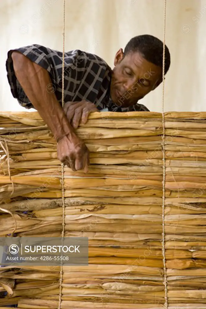 WASHINGTON, DC, USA - Joseph Sraphin Emile, an artisan-farmer from Cazal, Haiti, uses banana plant to create a mat, during the 2004 Smithsonian Folklife Festival.