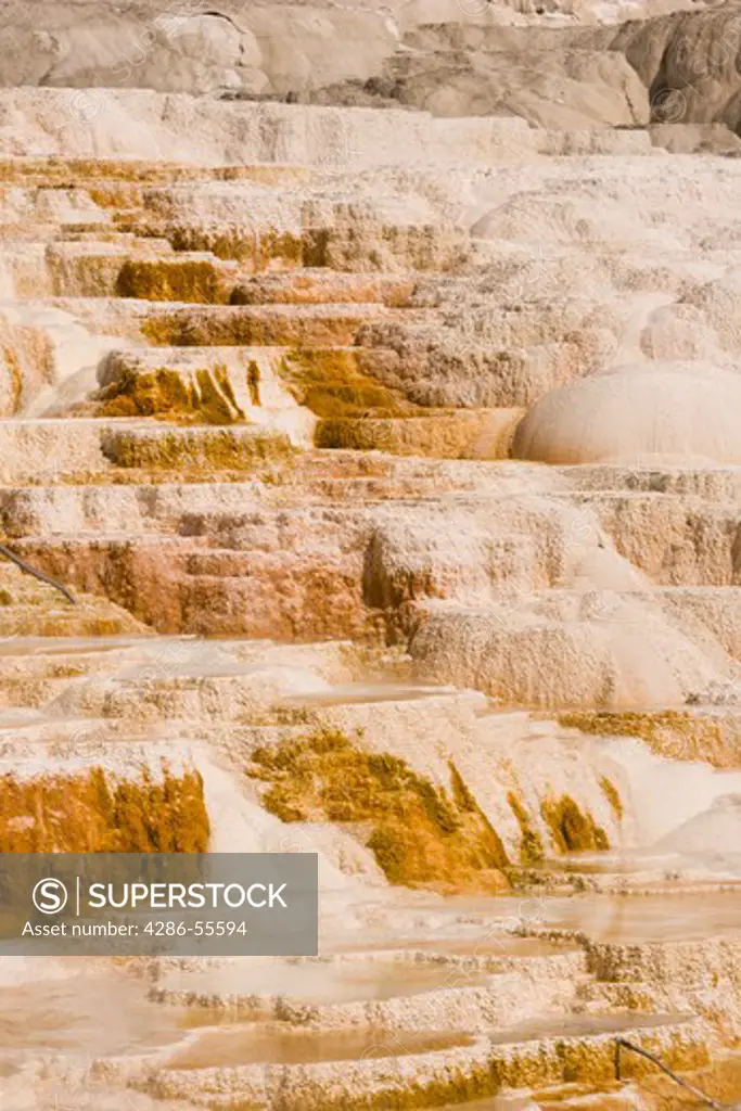 WYOMING, USA - Canary Spring area, Mammoth Hot Springs, in Yellowstone National Park. The orange and white deposits are calcium carbonate, also know as travertine.