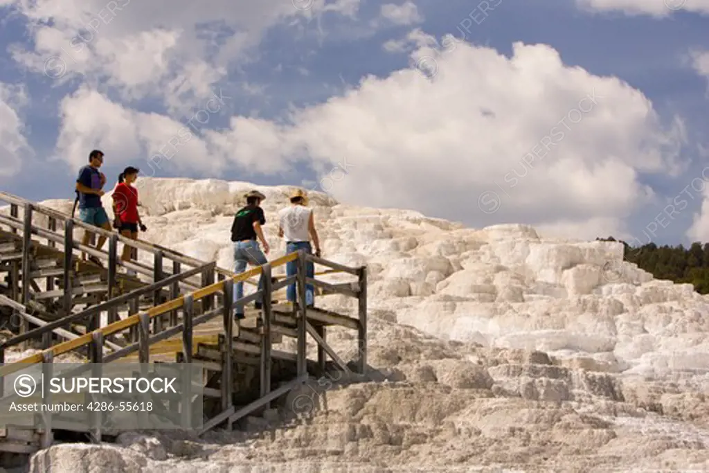 WYOMING, USA - Tourists walk by Minerva Terrace, at Mammoth Hot Springs, in Yellowstone National Park. The terraced white deposits are calcium carbonate, also know as travertine.