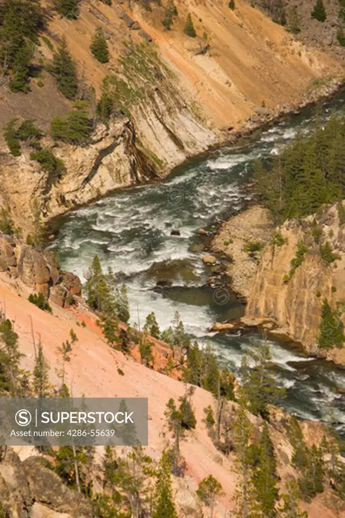 WYOMING, USA - Yellowstone River rapids, as it passes throught the Grand Canyon of the Yellowstone, in Yellowstone National Park.