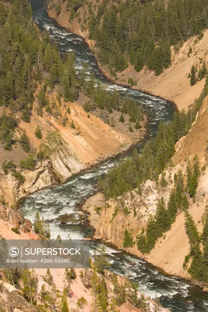 WYOMING, USA - Yellowstone River rapids, as it passes throught the Grand Canyon of the Yellowstone, in Yellowstone National Park.