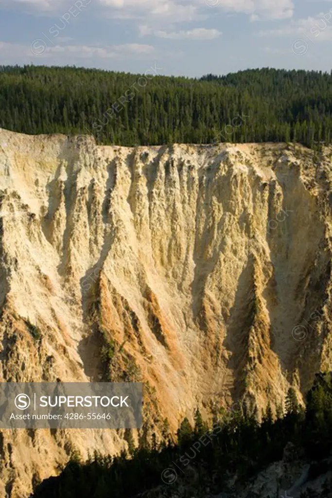 WYOMING, USA - Wall of the Grand Canyon of the Yellowstone, in Yellowstone National Park.